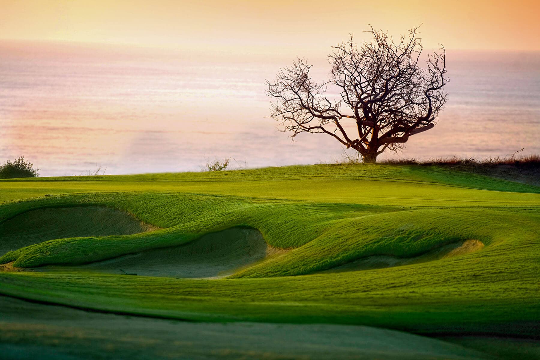 Club Campestre San Jose tree-lined fairway