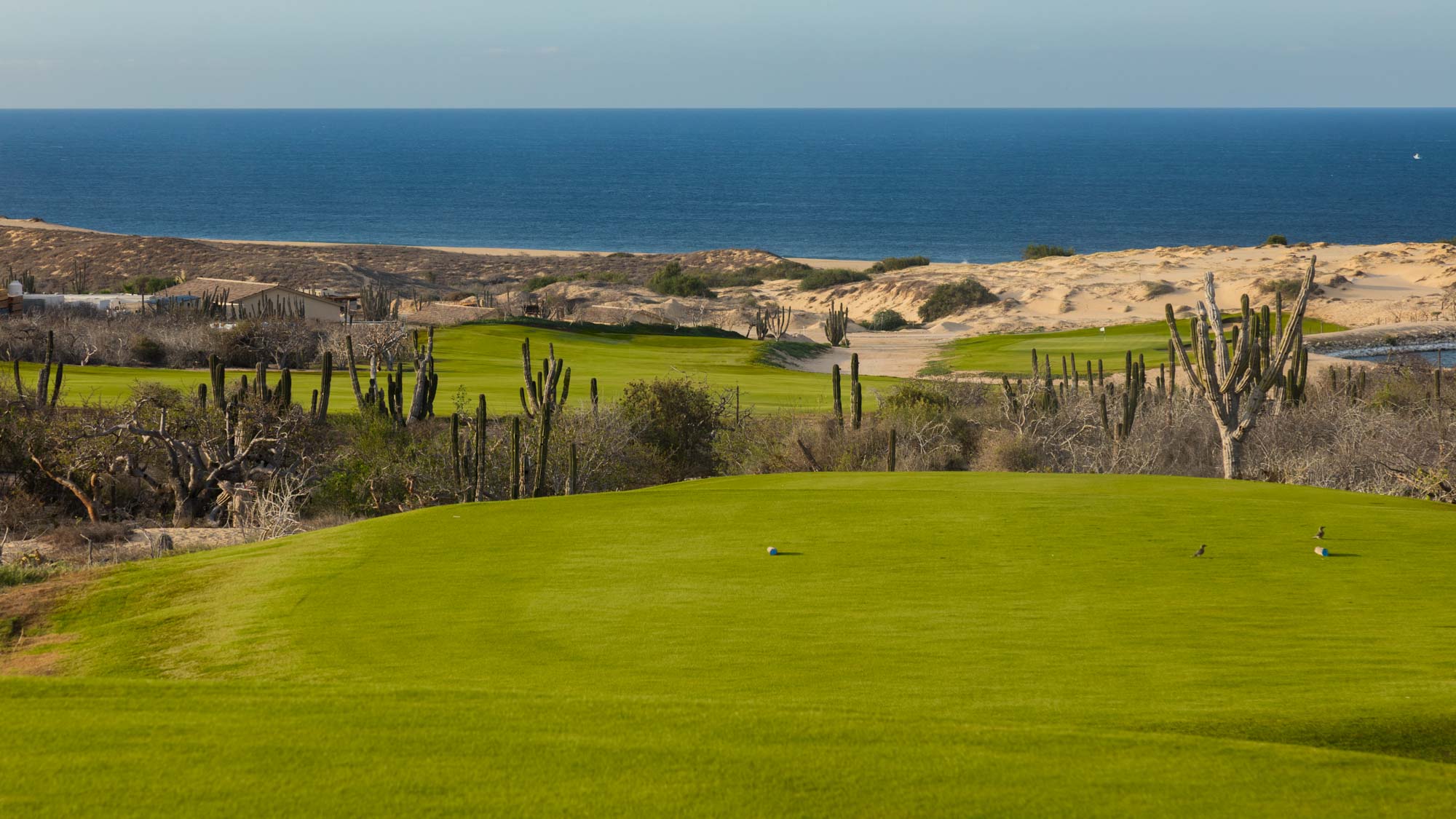 Solmar Golf Links fairway